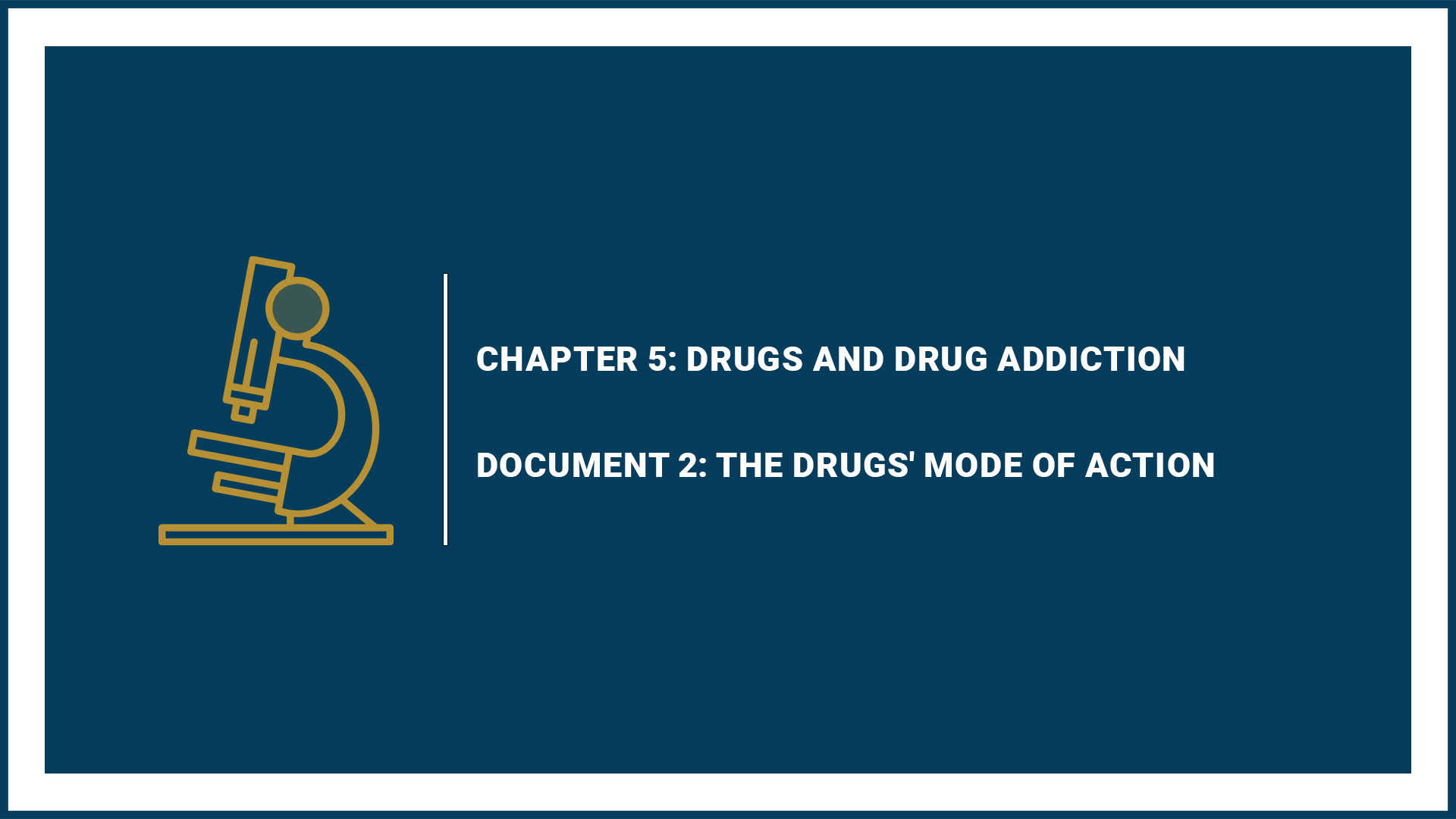 Chapter 5: Drugs and Drug addiction - Document 2: The Drugs Mode of Action